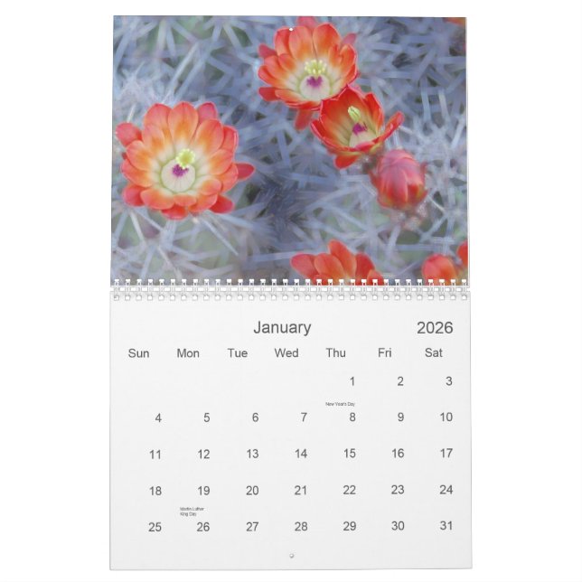 Calendário Joanne L Gallery Fotografia 2012 (Jan 2026)