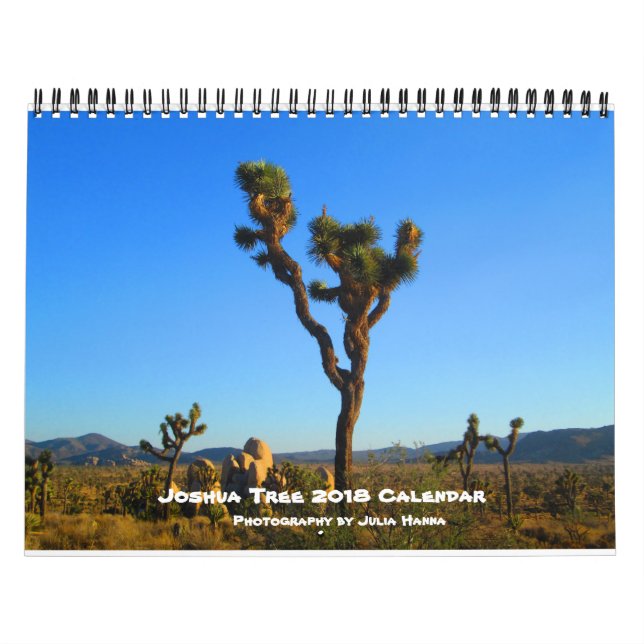Calendário Joshua Tree 2018 Por Julia Hanna (Capa)