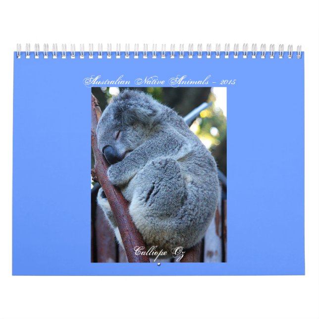 Calendário júnior do Koala (Capa)
