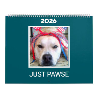 Calendário 'Just Pawse – 2026' Pet Photo Minimalist Teal