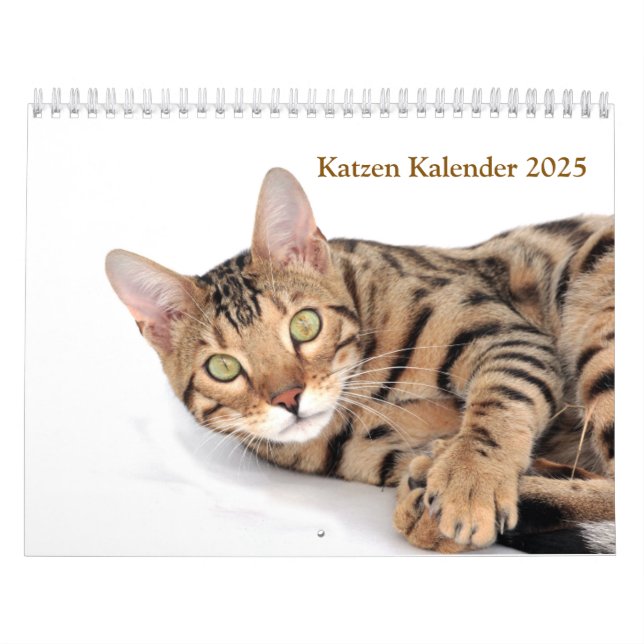 Calendário Kalender 2025 Cat Lover Katzen (Capa)