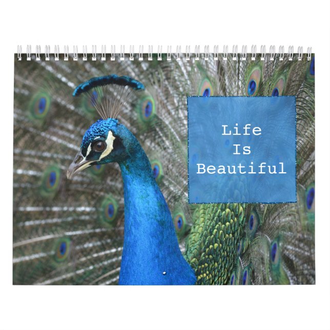 Calendário Kauai Peacock Feather (Capa)