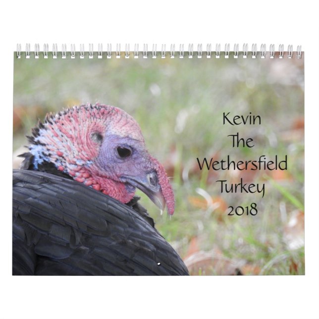 Calendário Kevin The Turkey - Old Wethersfield, CT (Capa)