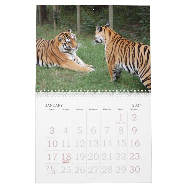 Calendário khan-n-china010, Shere Khan e China Dollthe B… (Jan 2027)