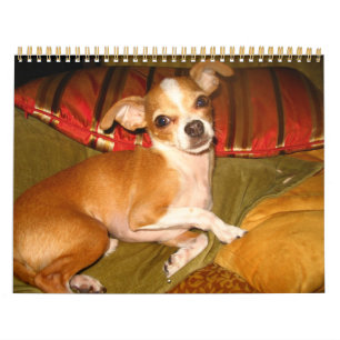 calendário kiko