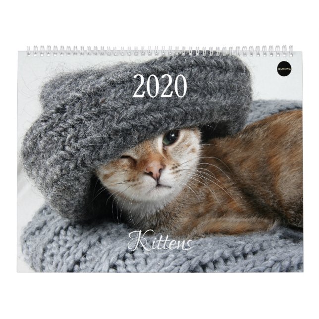 Calendário Kitten HAMbyWG (Capa)