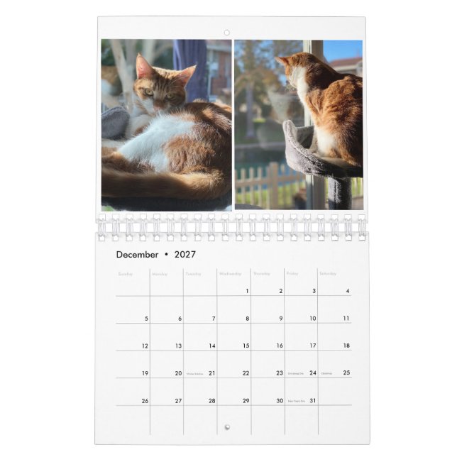 Calendário Kitty Cats (Dez 2027)
