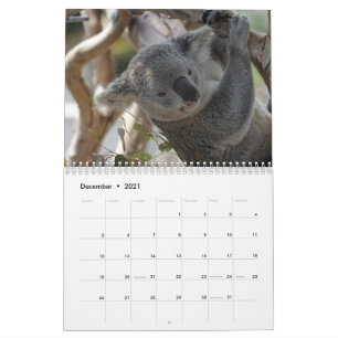 Calendário Koala