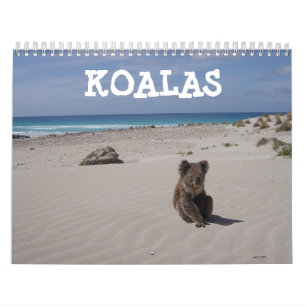 Calendário Koala