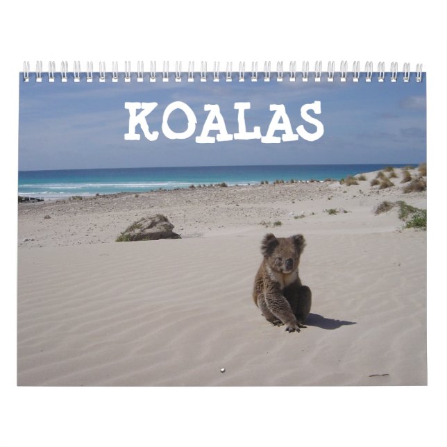 Calendário Koala (Capa)