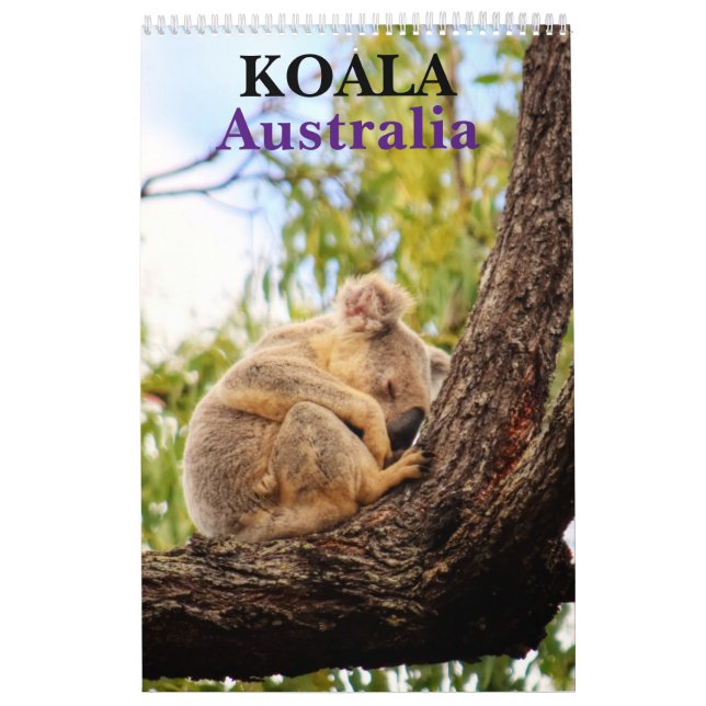 CALENDÁRIO KOALA AUSTRÁLIA (Capa)