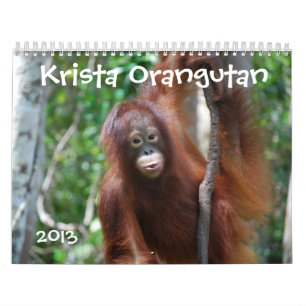 Calendário Krista a caridade 2013 dos animais selvagens do