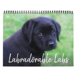 Calendário Laboratórios Labradorable - Labrador Negro