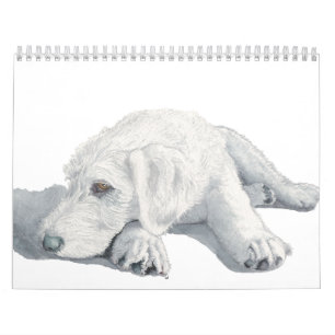 Calendário Labradoodles