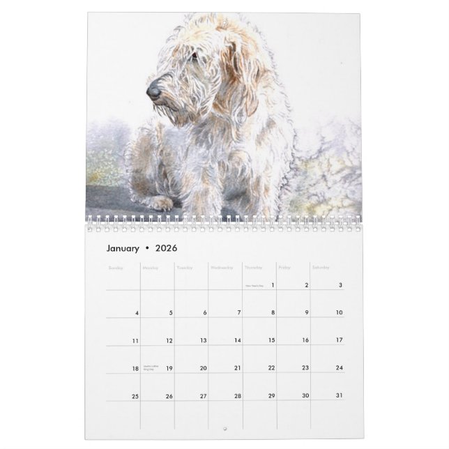 Calendário Labradoodles (Jan 2026)