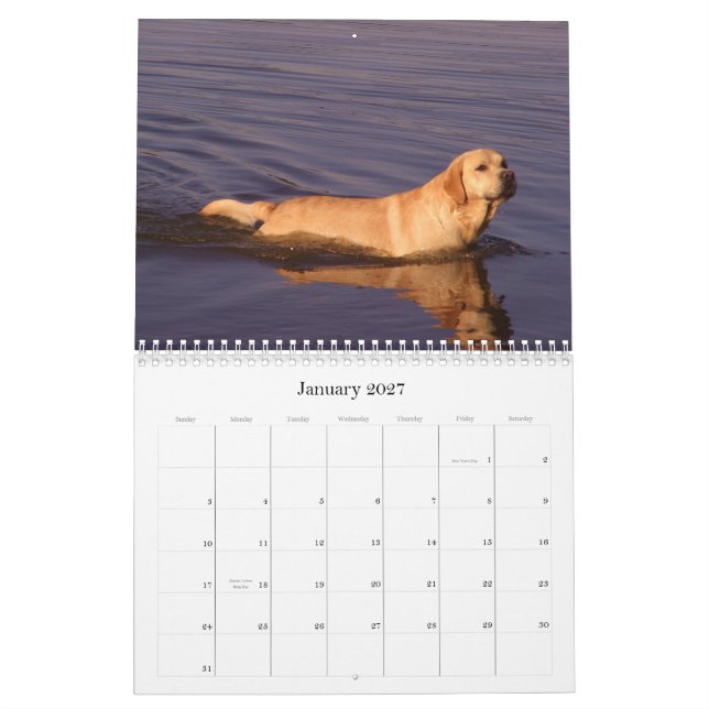 Calendário Labrador 2009 (Jan 2027)
