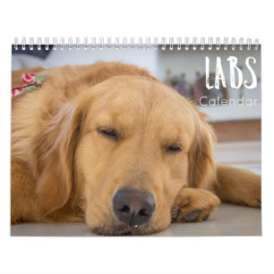 calendário labrador 2023