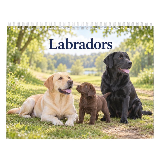 Calendário Labradores e Filhotes de Labrador (Capa)