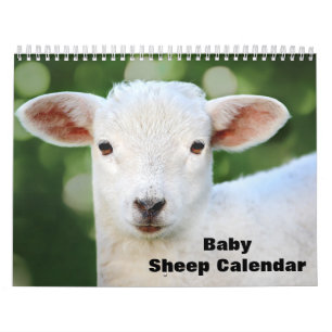 Calendário Lamb 2024 Baby Sheep