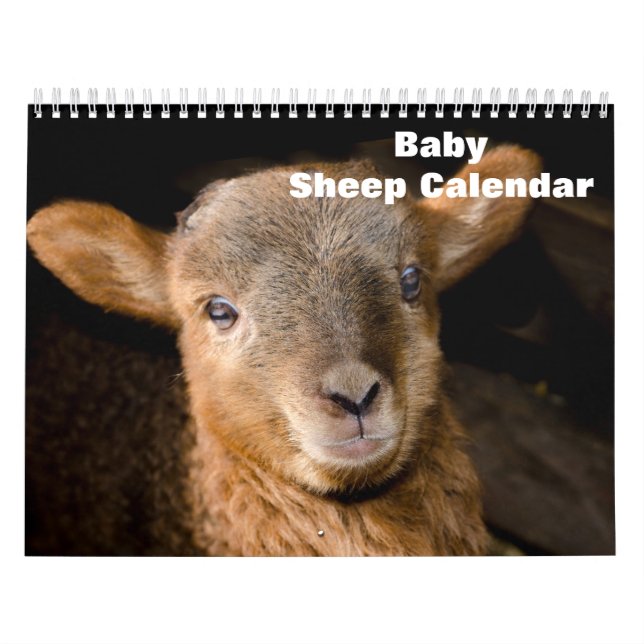 Calendário Lamb de Ovelha 2025 (Capa)