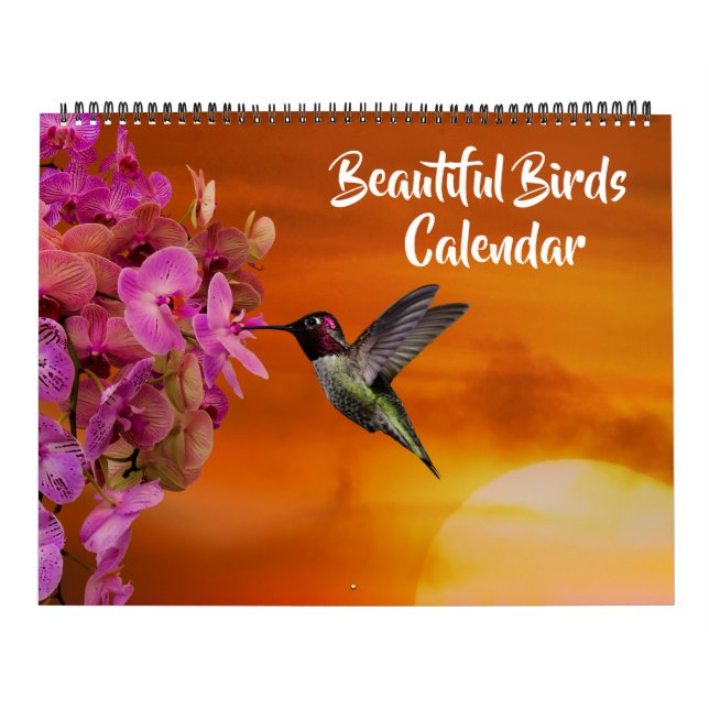Calendário Large Size Beautiful Birds Calendar (Capa)