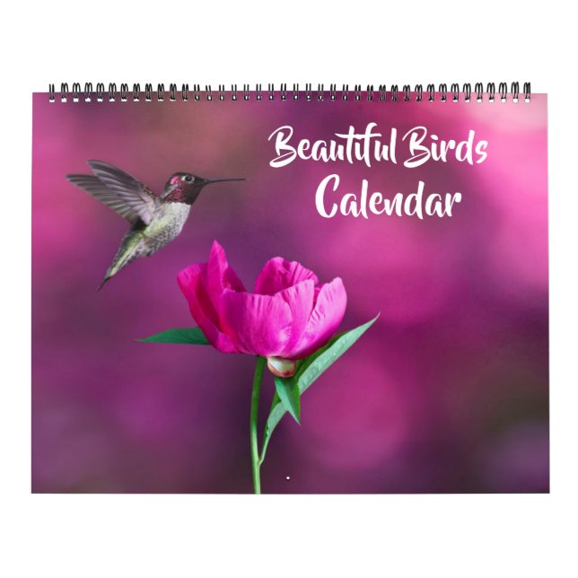 Calendário Large Size Beautiful Birds Calendar (Capa)