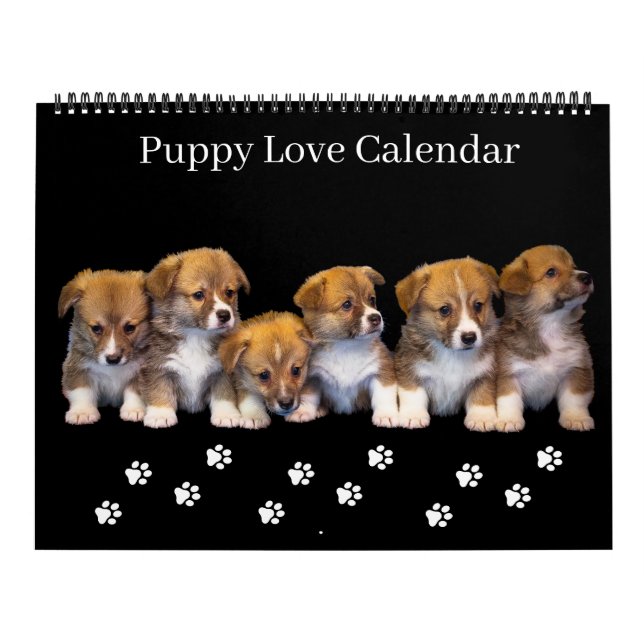 Calendário Large Size Puppy Love Calendar (Capa)