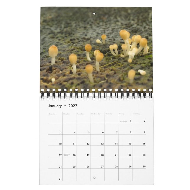 Calendário Las Encantadas (Jan 2027)