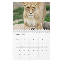 Calendário Leão