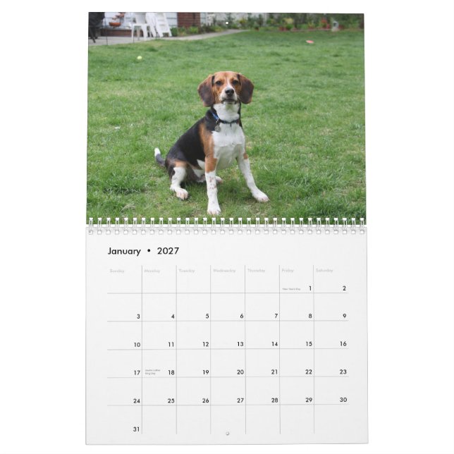 Calendário Lebreiro Calander (Jan 2027)