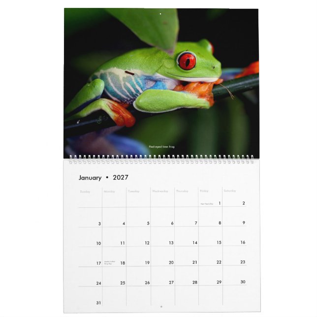Calendário legal dos sapos (Jan 2027)