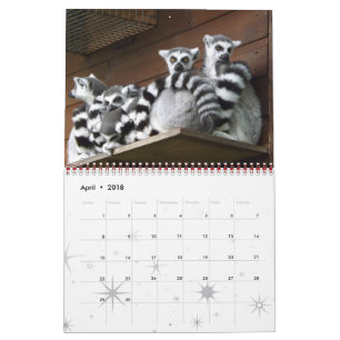 Calendário Lemur Wild Primate Bem-Vindo Para Casa Destino
