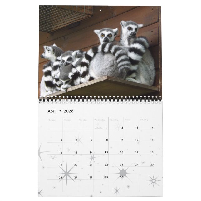 Calendário Lemur Wild Primate Bem-Vindo Para Casa Destino (Abr 2026)