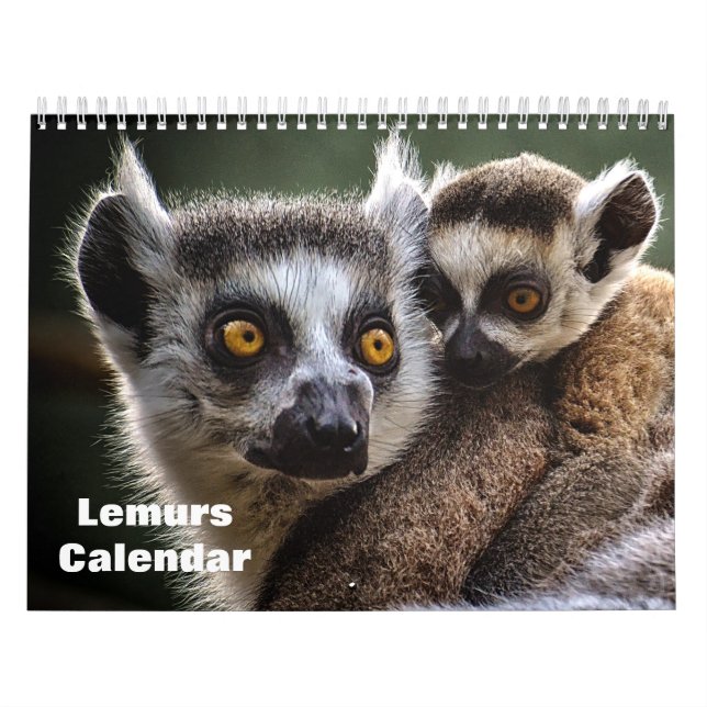 Calendário Lêmures 2027 (Capa)