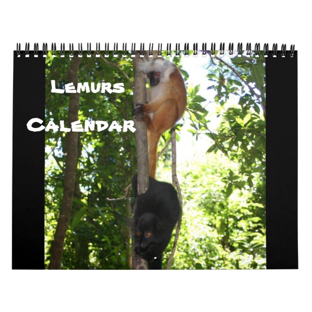 CALENDÁRIO LEMUROS DE APRENDIZAGEM (Capa)
