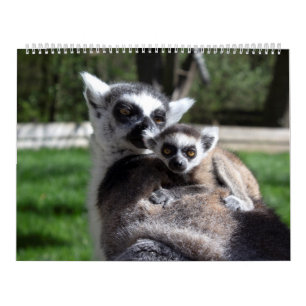 Calendário Lemurs 2021