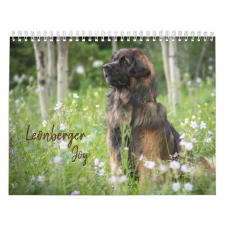 Calendário Leonberger Joy