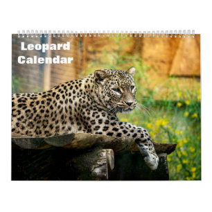 Calendário Leopard 2025