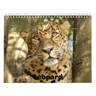Calendário LeopardCheetaro013, leopardo
