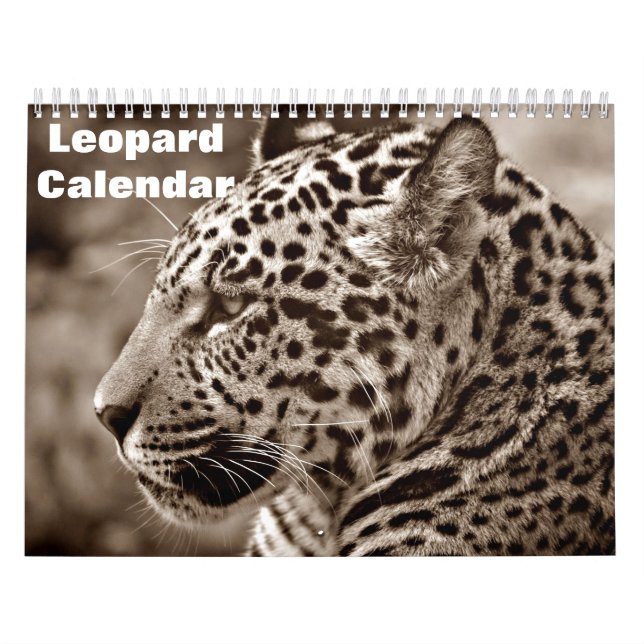 Calendário Leopardo 2027 (Capa)