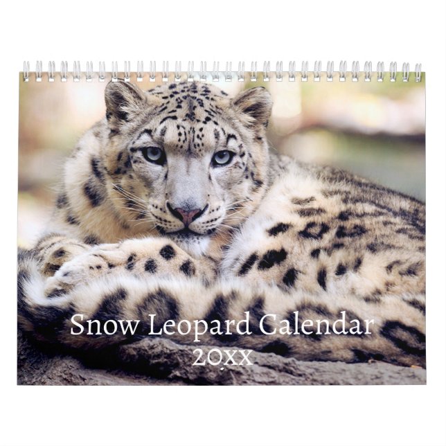 Calendário Leopardo da Neve (Capa)
