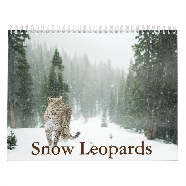 Calendário Leopardo da Neve (Capa)