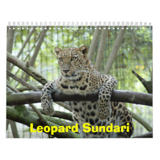 Calendário LeopardSundari_008, leopardo Sundari