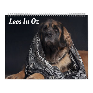 Calendário Leos In Oz