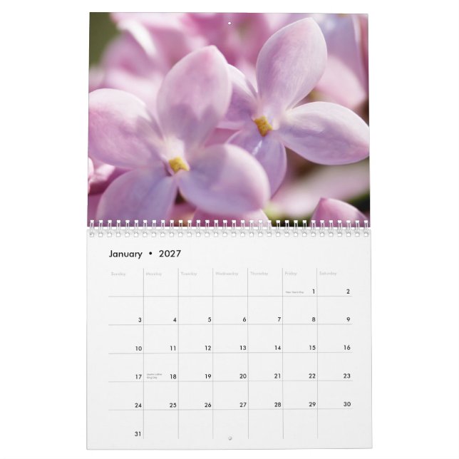 Calendário Lilacs 2013 (12 meses) (Jan 2027)
