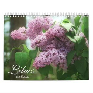 Calendário Lilacs 2014 (12 meses)
