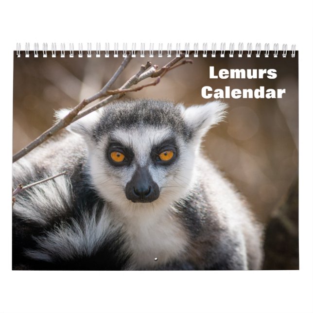 Calendário Limures 2025 (Capa)