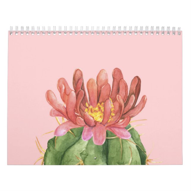 Calendário Linda Flor Suculenta (Capa)