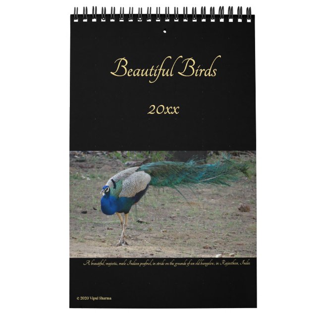 Calendário Lindas Aves Natureza Fotografia Aves 2026 (Capa)