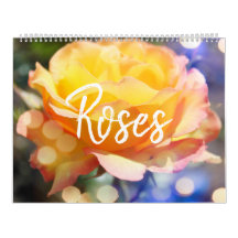 Lindas Flores de Rosa